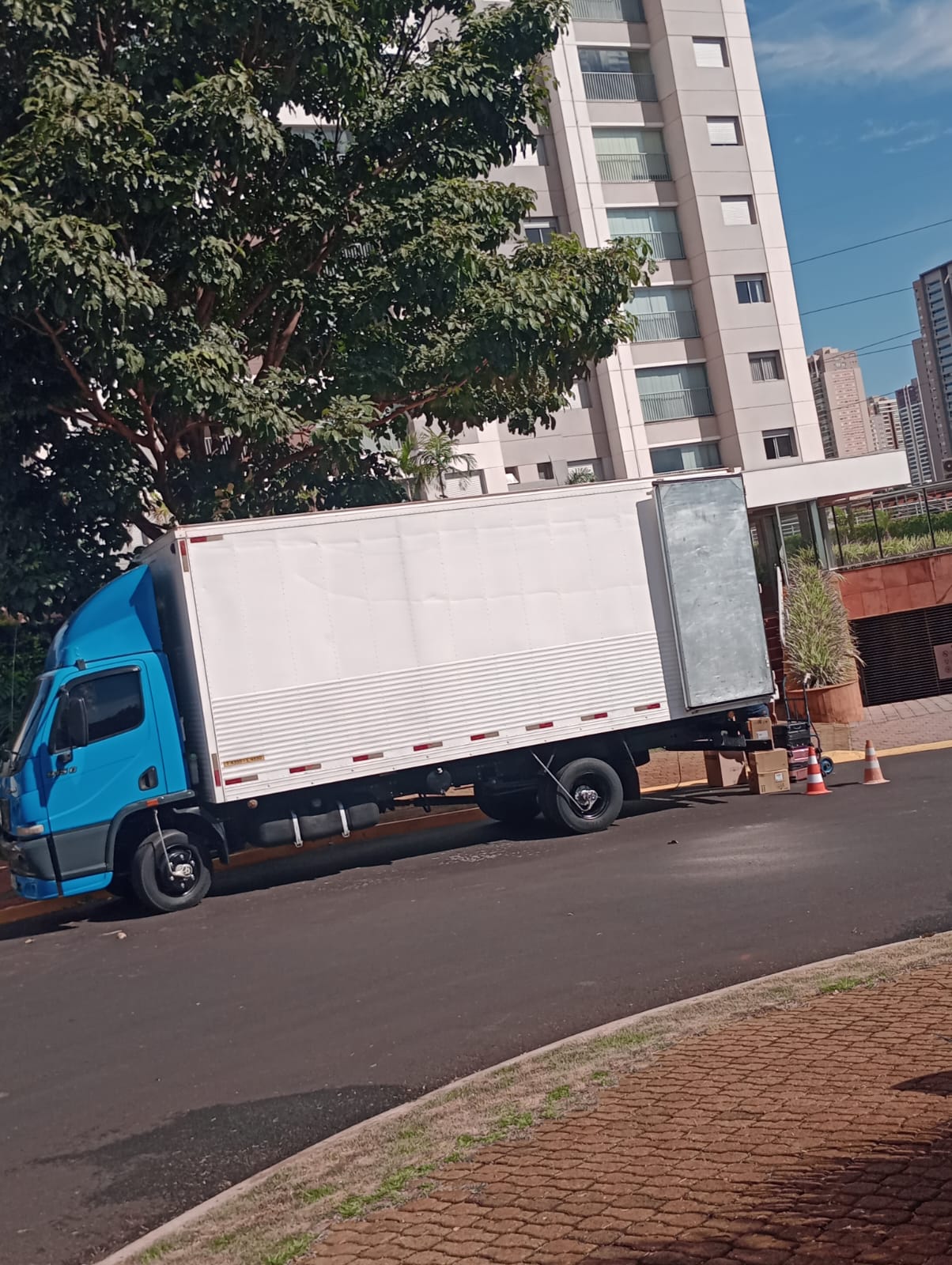 Dedicada Mudanças
